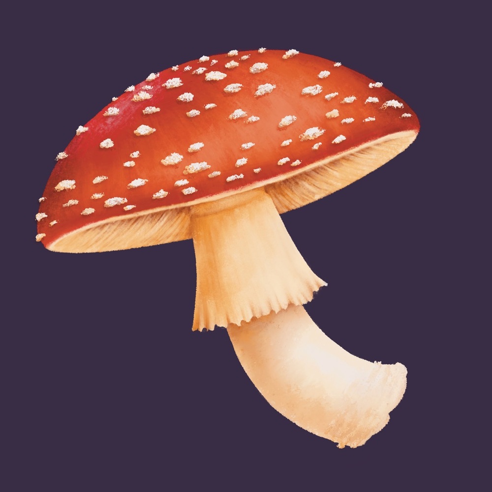 Meet your Posher, Maddie